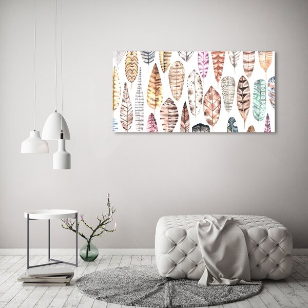 Tablou canvas pene colorate