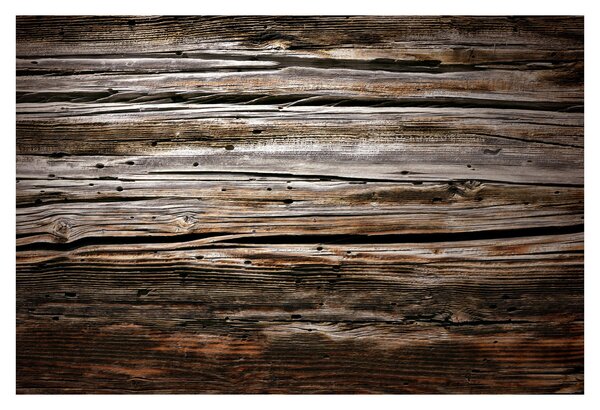 Tablou - lemnele de sezon (90x60 cm)