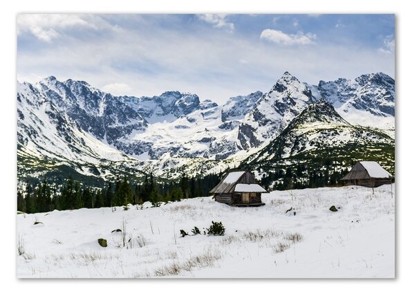 Tablou sticlă Hale Tatry