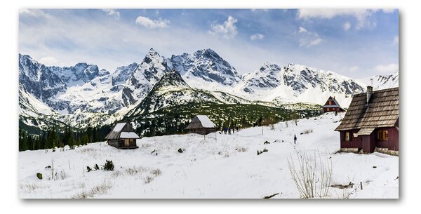 Tablou sticlă Hale Tatry
