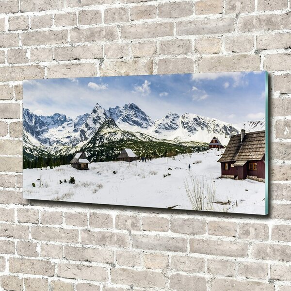 Tablou sticlă Hale Tatry