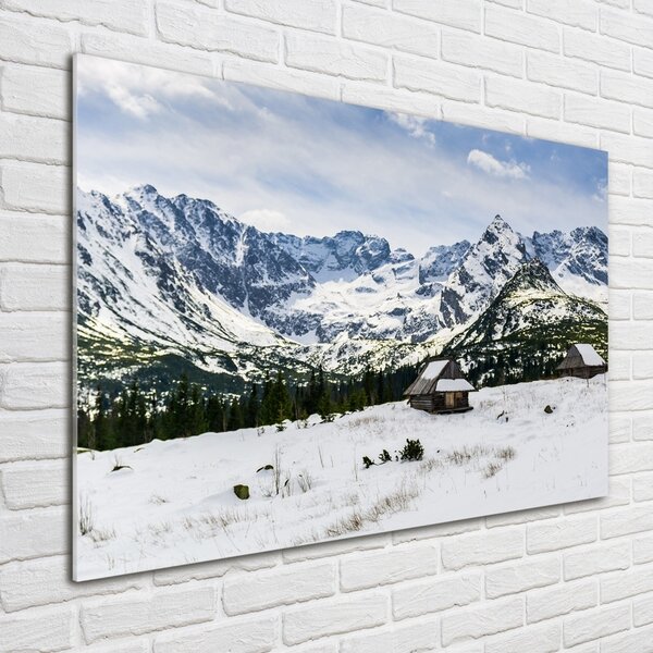 Tablou sticlă Hale Tatry
