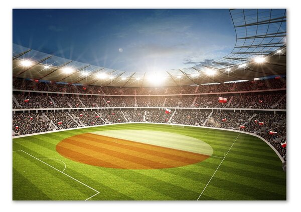Tablou pe pe sticlă Stadion Polonia
