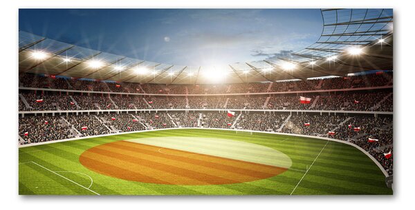 Tablou pe pe sticlă Stadion Polonia