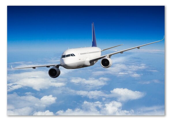 Imagine de sticlă Avionul în aer