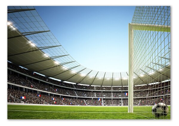 Fotografie imprimată pe sticlă Franța stadion