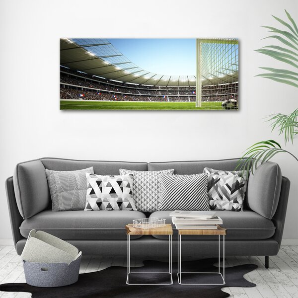 Tablou canvas Franța stadion