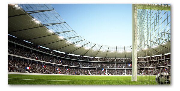 Fotografie imprimată pe sticlă Franța stadion