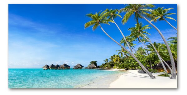 Fotografie imprimată pe sticlă Maldive