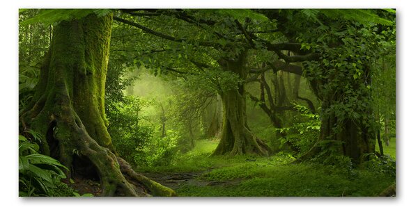Fotografie imprimată pe sticlă jungla tropicala