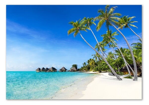 Fotografie imprimată pe sticlă Maldive