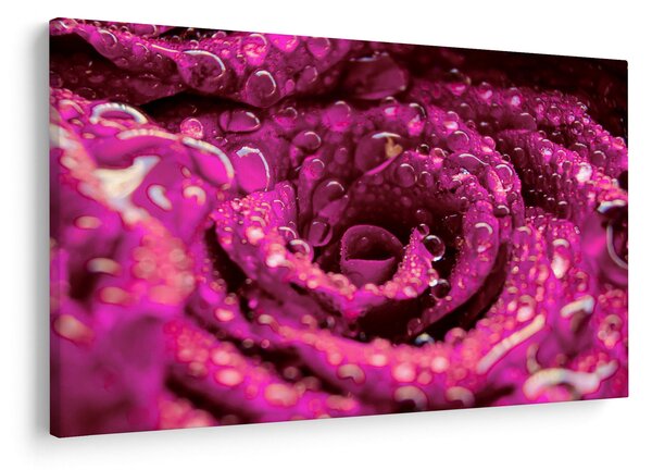 Tabloul cu floarea trandafirului roz (90x60 cm)