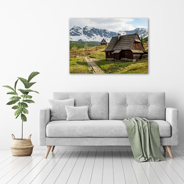 Print pe canvas Hale Tatry