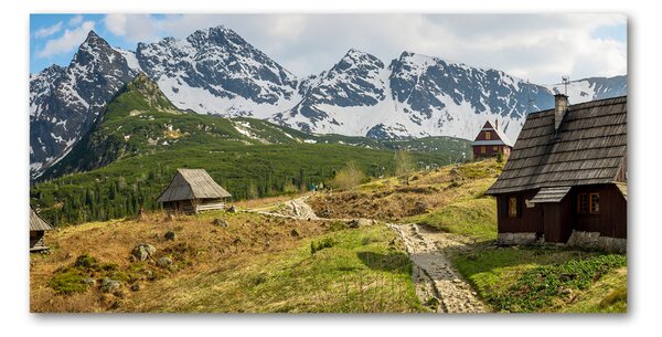 Imagine de sticlă Hale Tatry