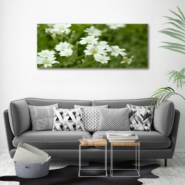 Print pe canvas Flori de primăvară