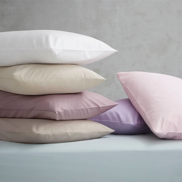Cearceaf alb din bumbac percale cu elastic 90x190 cm Easy Iron Percale – Catherine Lansfield