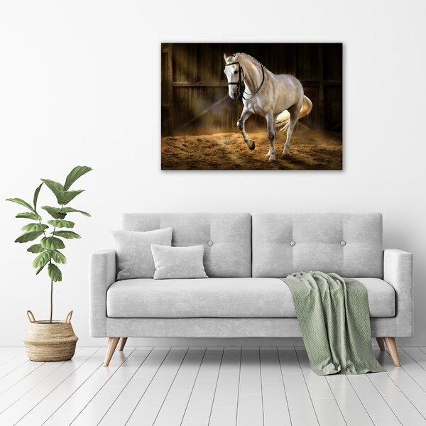 Imprimare tablou canvas cal alb în grajd