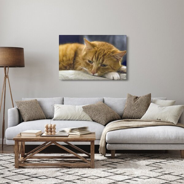 Tablou cu pisica (90x60 cm)