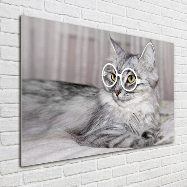 Tablou Printat Pe Sticlă Cat cu ochelari