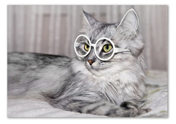 Tablou Printat Pe Sticlă Cat cu ochelari