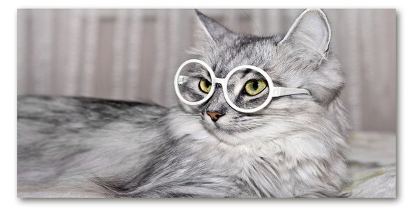 Tablou Printat Pe Sticlă Cat cu ochelari