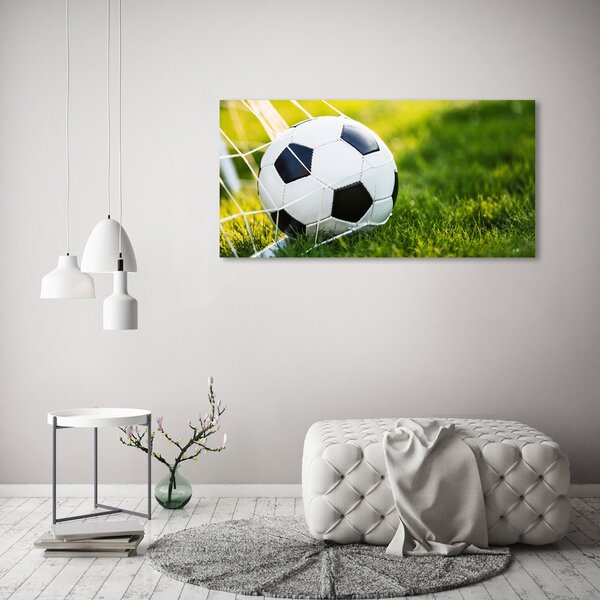 Tablou canvas Mingea în poartă
