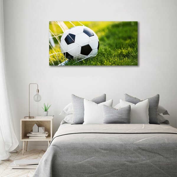 Tablou canvas Mingea în poartă