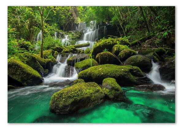 Tablou din Sticlă Cascada din pădure
