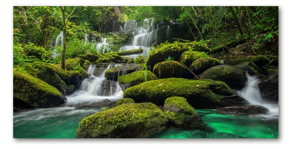 Tablou din Sticlă Cascada din pădure