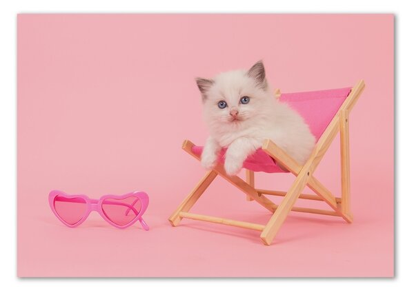 Tablou sticlă Cat pe un șezlong
