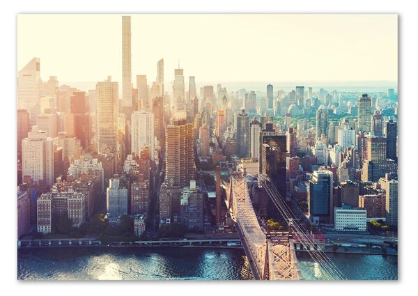 Tablou sticlă New York pasăre de zbor