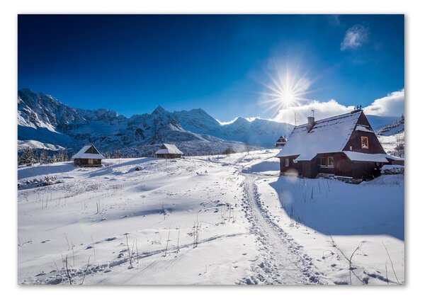Fotografie imprimată pe sticlă Hale Tatry