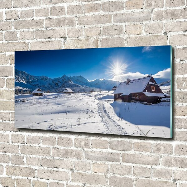 Fotografie imprimată pe sticlă Hale Tatry