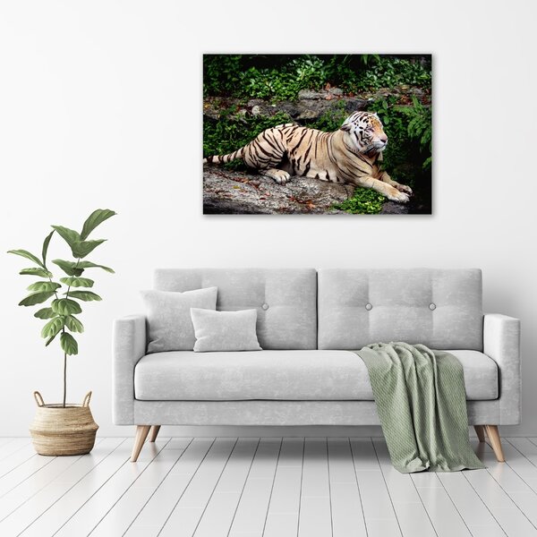 Pictură pe pânză Tiger pe stâncă