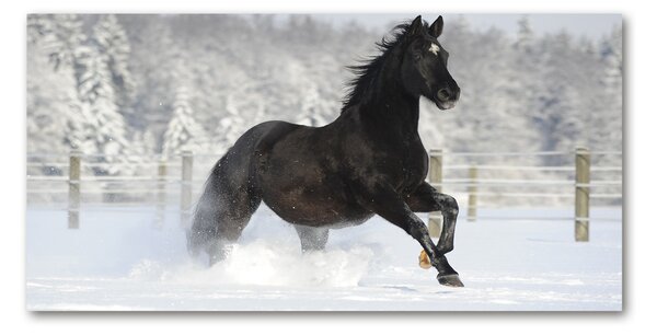 Tablou pe pe sticlă Un cal în galop de zăpadă