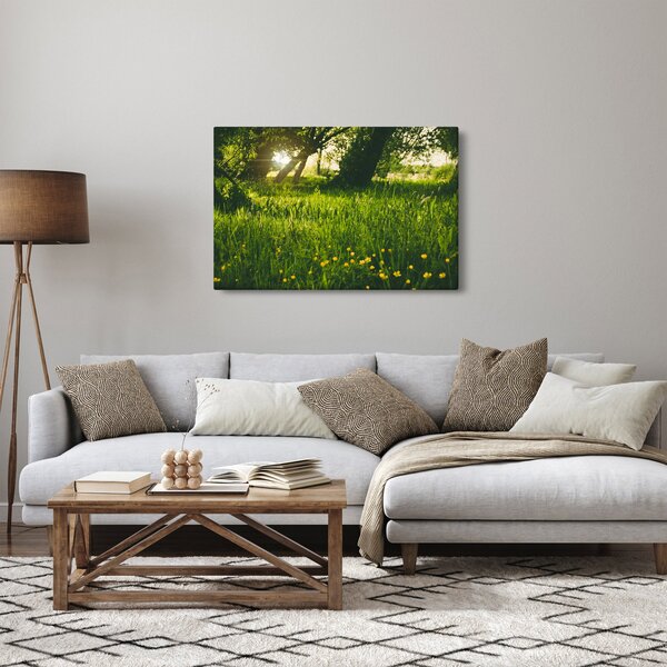 Tablou cu natura - lunca (90x60 cm)
