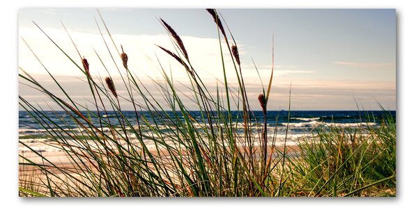 Imagine de sticlă dune de coastă