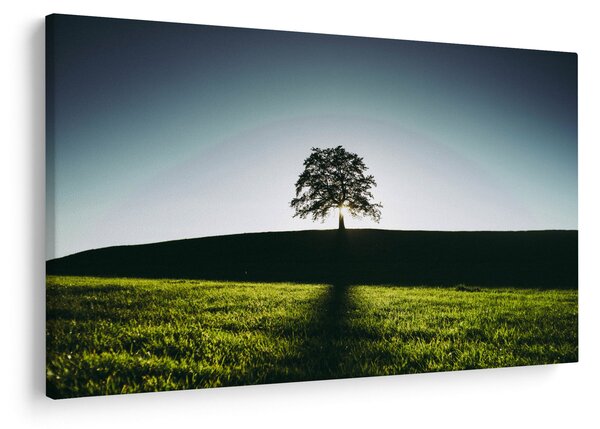 Tablou cu natura - copac (90x60 cm)