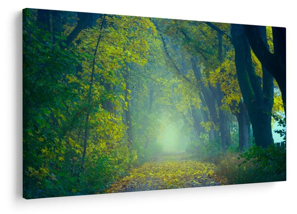 Tablou cu drum dea lungul cu copaci (90x60 cm)