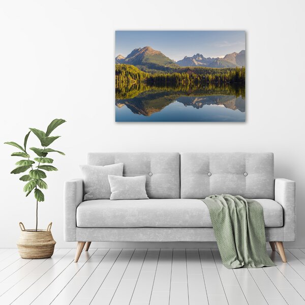 Print pe pânză Panorama Tatry