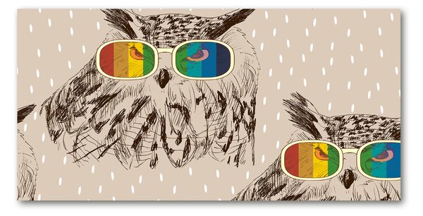 Imagine de sticlă Owls ochelari
