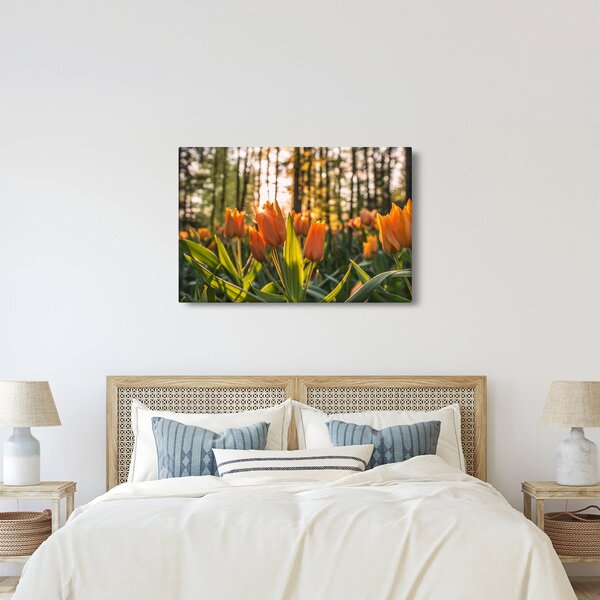 Tablou - florile lalelelor (90x60 cm)