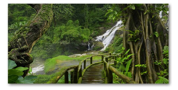 Tablou sticlă Cascada din junglă
