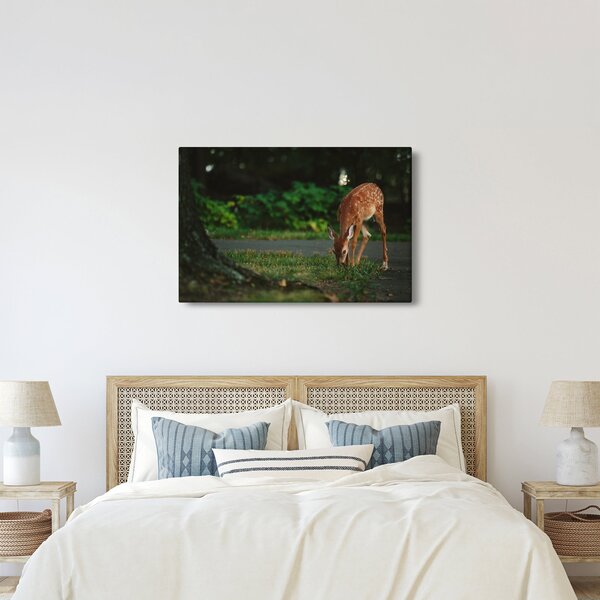 Tablou cu pui de cerb (90x60 cm)