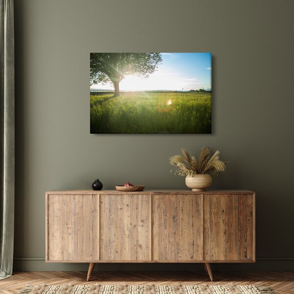 Tablou cu lunca în vară (90x60 cm)