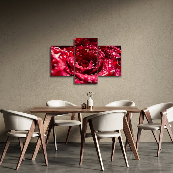 Tablou cu floarea trandafirului roșu (90x60 cm)