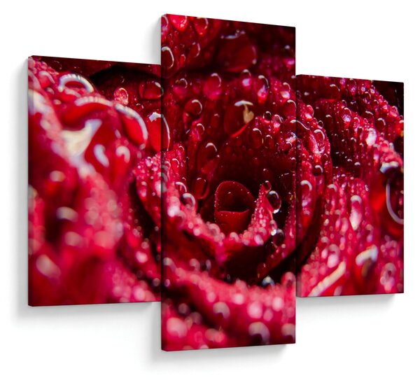 Tablou cu floarea trandafirului roșu (90x60 cm)