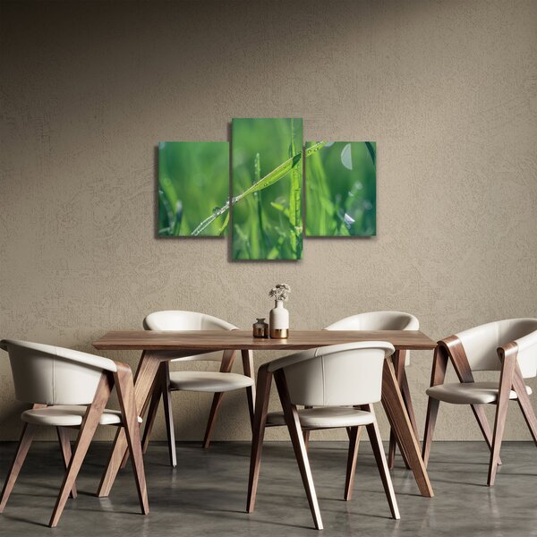 Tablou cu picături de rouă (90x60 cm)