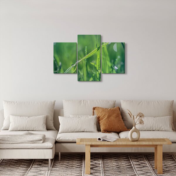 Tablou cu picături de rouă (90x60 cm)