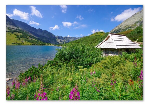 Tablou sticlă Cabană în munții Tatra